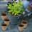 100Pcs Round Degradable Pulp Peat Flower Pot 8x8cm Plant Nursery Cup 4