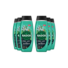 6x Radox Mineral Therapy Feel Invigorated Shower Gel & Shampoo for Men, 450ml