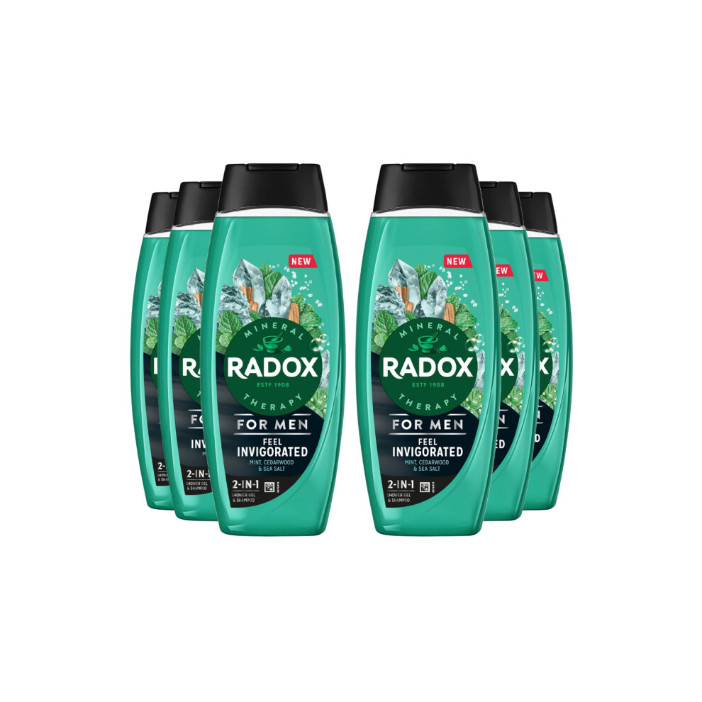 6x Radox Mineral Therapy Feel Invigorated Shower Gel & Shampoo for Men, 450ml