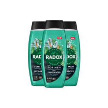 3x Radox Mineral Therapy Feel Invigorated Shower Gel & Shampoo for Men, 450ml