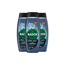 3x Radox Mineral Therapy Feel Energised 2in1 Shower Gel & Shampoo for Men, 450ml