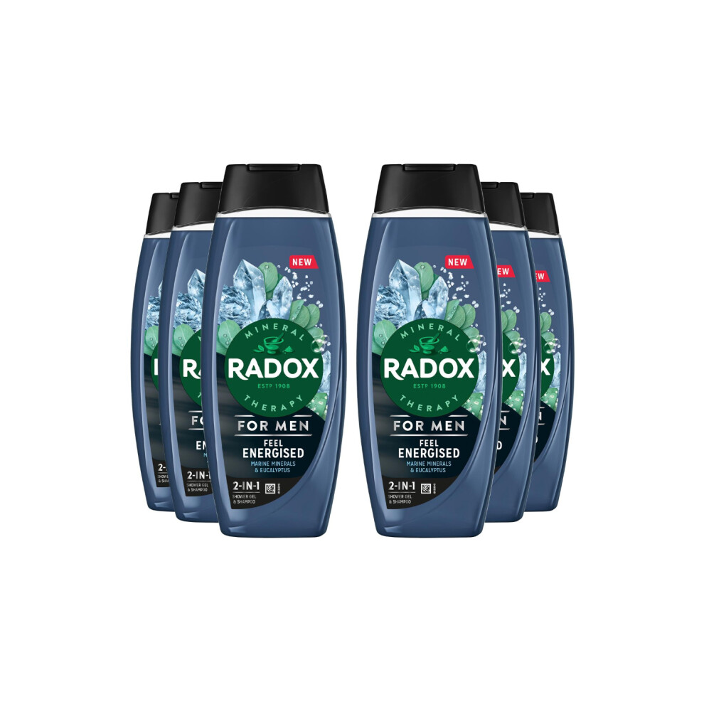 Radox 6X Mineral Therapy Feel Energised 2In1 Shower Gel & Shampoo For Men, 450Ml