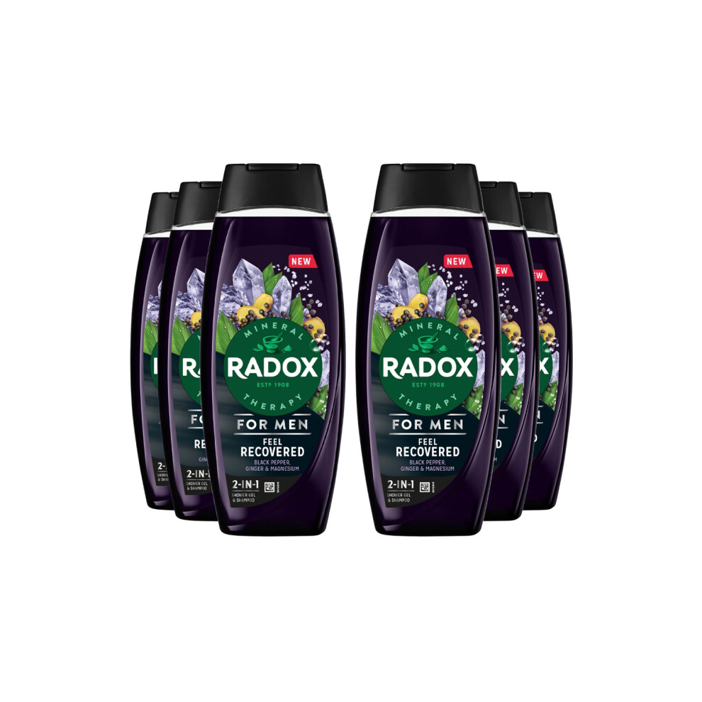 6x Radox Mineral Therapy Feel Recovered 2in1 Shower Gel & Shampoo for Men, 450ml-image-OPC-PFX9KB5-NEW