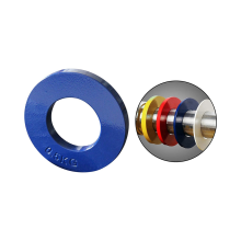 2X Poids Fractionnaires Mini Plaques de Poids Entraînement de Force Accessoire de disque précis Bleu 0,5 kg
