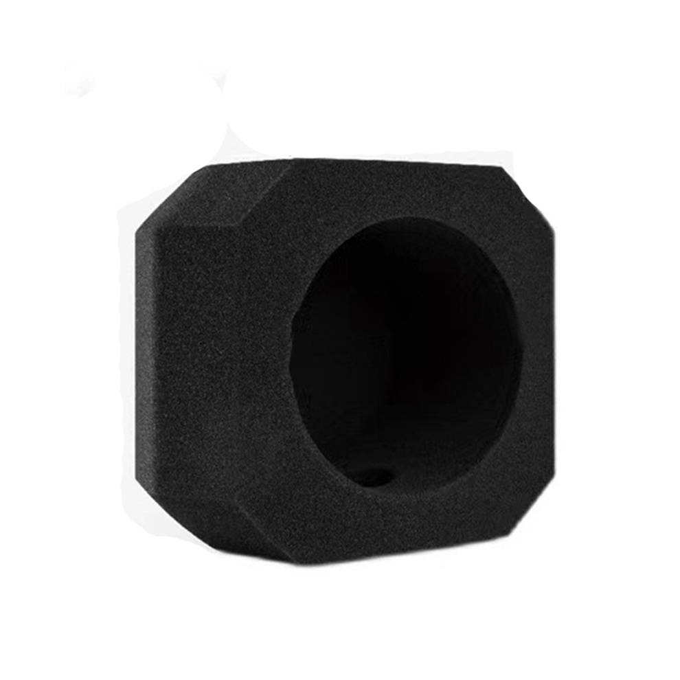 Filtro Antivento In Schiuma Per Microfono Professionale