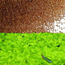 Aquarium Boxweed Plant Seeds, [1 Pack] Small Opposite Leaves [6008 Count] Oxidized Weed Live Pond Plant Seeds, Fish Aquatic Plants Decoration, Easy To