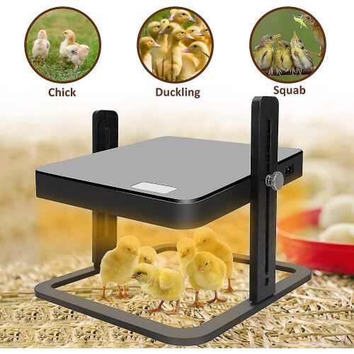 Chick Brooder Heating Plate, Chick Brooders With Adjustable Height For Chicks And Ducklings, Warms Up To 15 Chicks