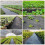(2x25m) Membrane Garden Weed Barrier 7