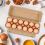 40PCS Cardboard Egg Cartons Blank Paper Pulp One Dozen Container Empty Tray Holder 6