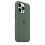 (Eucalyptus) Silicone Phone Case Compatible With Iphone 13 Pro 13pro 2