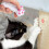 MCBOSON 7 in 1 Laser Pointer 4