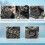 Casart Fishing Float Tube V-Shaped Inflatable Float Tube-Camouflage 3