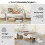 Casart Metal Daybed Extendable Daybed to Single Size Bed Sofa Bed-White 5