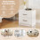 Casart 2-Drawer Nightstand Modern Bedside Table Accent Sofa Side Table-White 8