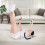Casart Foldable Ab Trainer Abs Crunch Machine with Padded Headrest 6