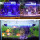 (EU Plug, 48CM) Submersible LED Aquarium Light,Tank Light with Timer Dimming Function,3 Light Modes Dimmable Blue&White&White-Blue EU Plug 6