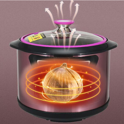 6l Black Garlic Fermentation Machine 1