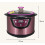 6l Black Garlic Fermentation Machine 4