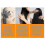 Eelhoe Anti-frizz Serum281 4