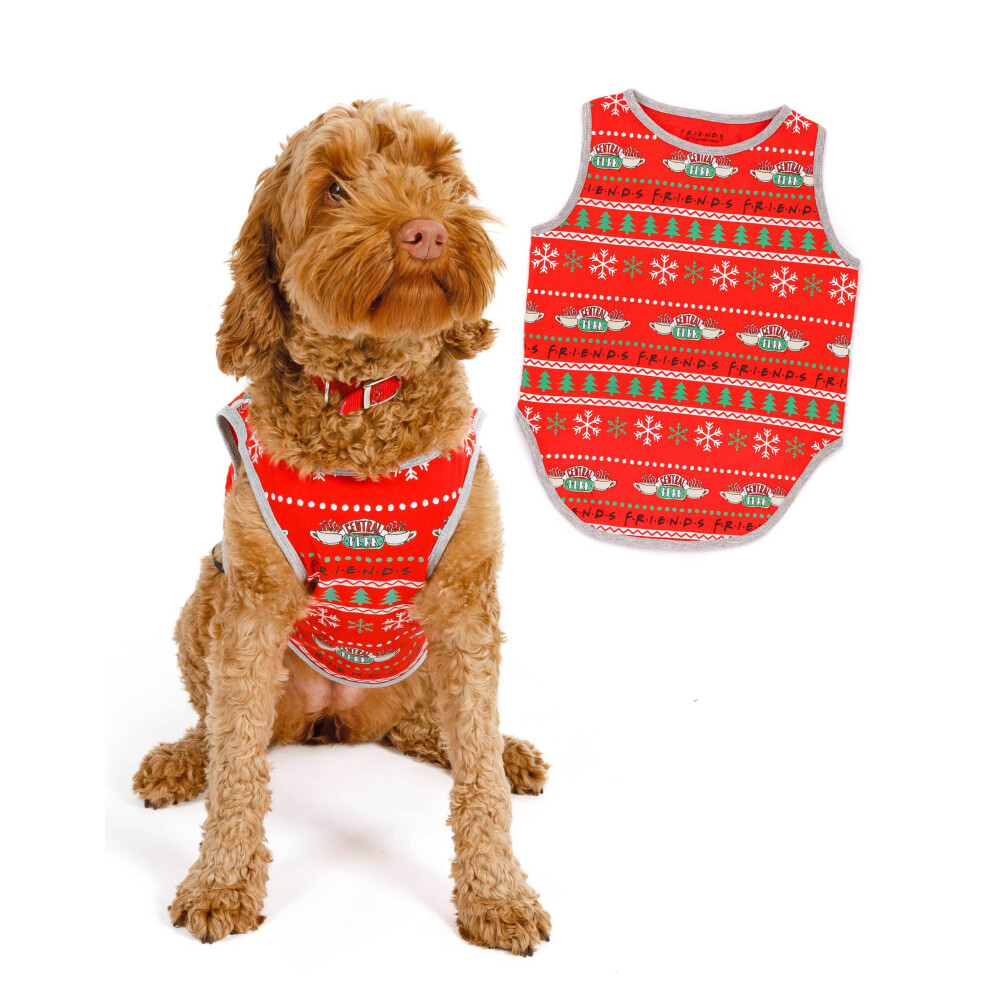 (Large) Friends Long Sleeve Long Leg Pyjama Set (Unisex Red)
