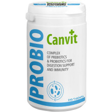 Canvit Probiotics for Dogs | Dog Probiotics for Gut Health | Prebiotics for Gut Health for Dogs & Cats | Digestive Enzymes Supplements and Immune