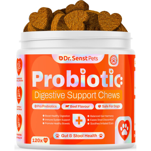 Dr Senst Probiotics For Dogs 120x Chews Support Gut Health, Occasional Diarrhea, Anal Glands, Scooting, Digestive Health Dog Probiotic Supplements |