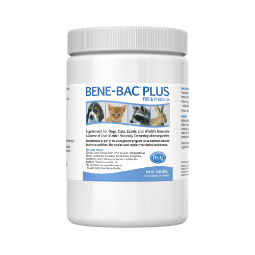 Bene-Bac Plus Prebiotic Pet Powder, 1-Pound