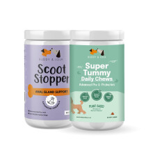 Buddy & Lola Super Tummy & Scoot Chew Bundle - Daily Dog Probiotic Chews For Digestive Health - Beneficial Prebiotics, & Probiotics For Better Gut &