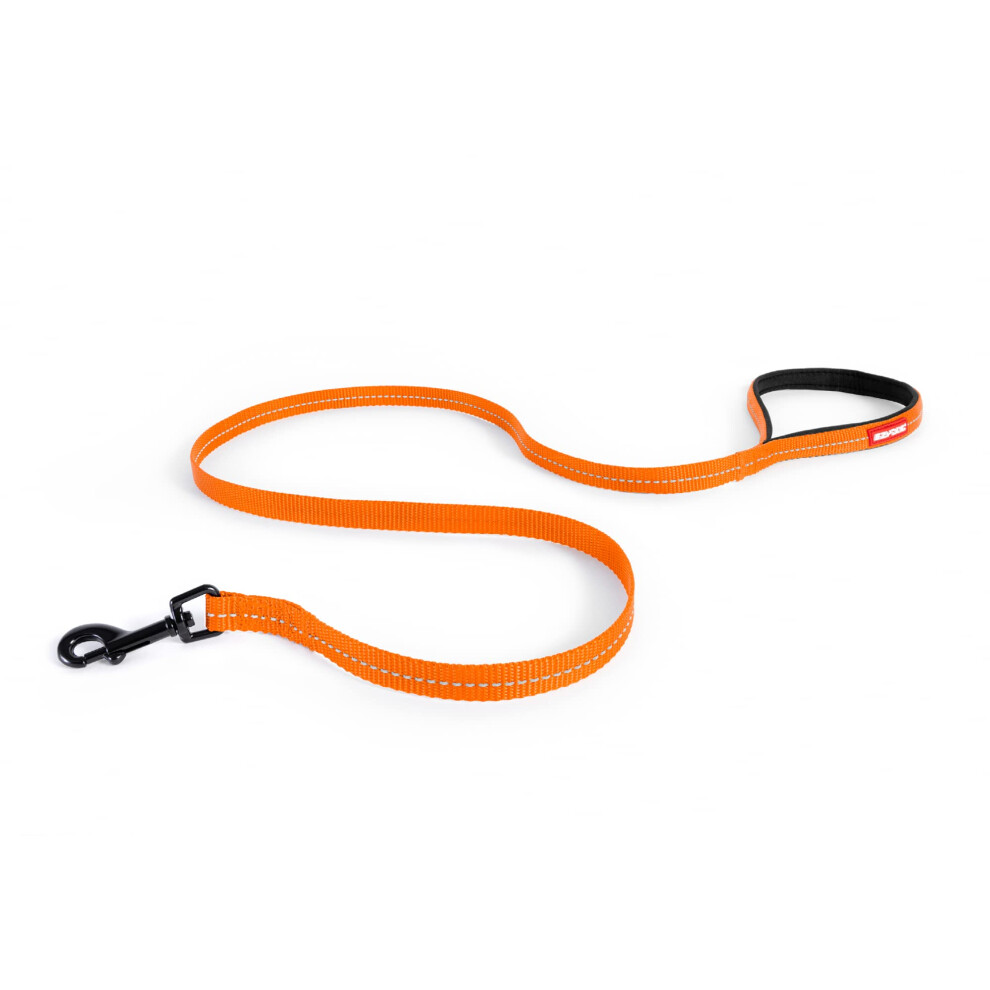 EZYDOG Essential LITE Lead | Small Dogs, Medium Dogs, Large Dogs, Training Lead, Lightweight, Comfortable Padded Handle, Reflective Thread, 1.2M Lead