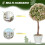 Homcom HOMCOM Set of 2 Decorative Artificial Plants, Cream White 5