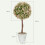 Homcom HOMCOM Set of 2 Decorative Artificial Plants, Cream White 3
