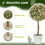 Homcom HOMCOM Set of 2 Decorative Artificial Plants, Cream White 4
