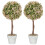 Homcom HOMCOM Set of 2 Decorative Artificial Plants, Cream White 1