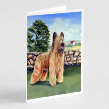 Balenie 8 blaho   elan    a ob   lok Briard
