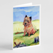 Balenie 8 pohladn   c a ob   lok s mot   vom Cairn Terrier a Chipmunk