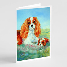Balenie 8 blaho   elan    a ob   lok pre Cavalier Spaniel s l   skou mamy