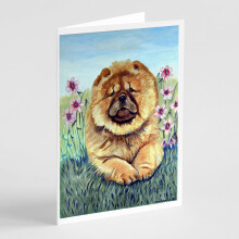 Balenie 8 blaho   elan    a ob   lok Chow Chow