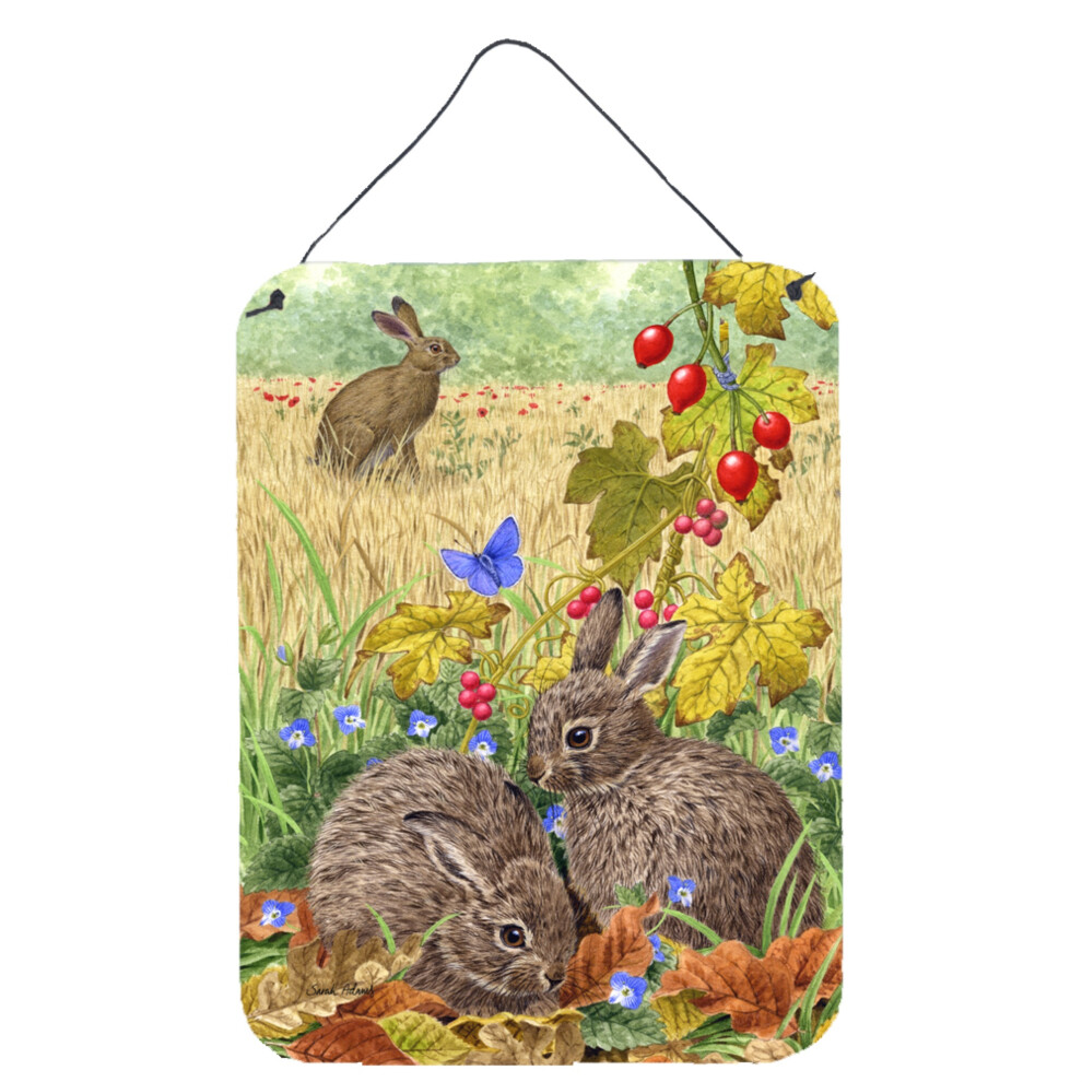 ""Caroline's Treasures Leverets Et Rabbit D Coration Murale Ou De Porte ASA2140DS1216 16HX12W Multicolore""-image
