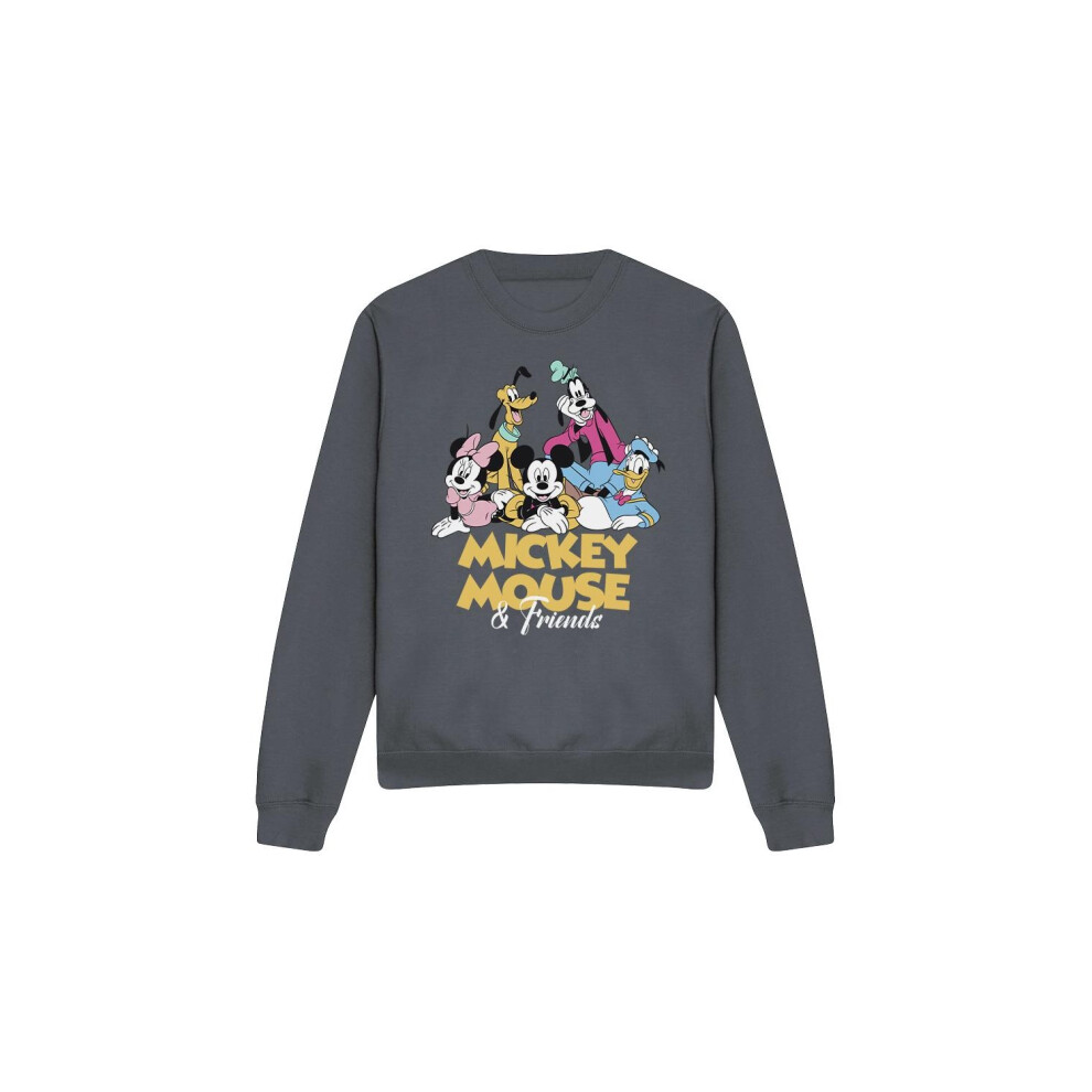 (L, Charcoal) Disney Unisex Adult Mickey Mouse Friends Sweatshirt