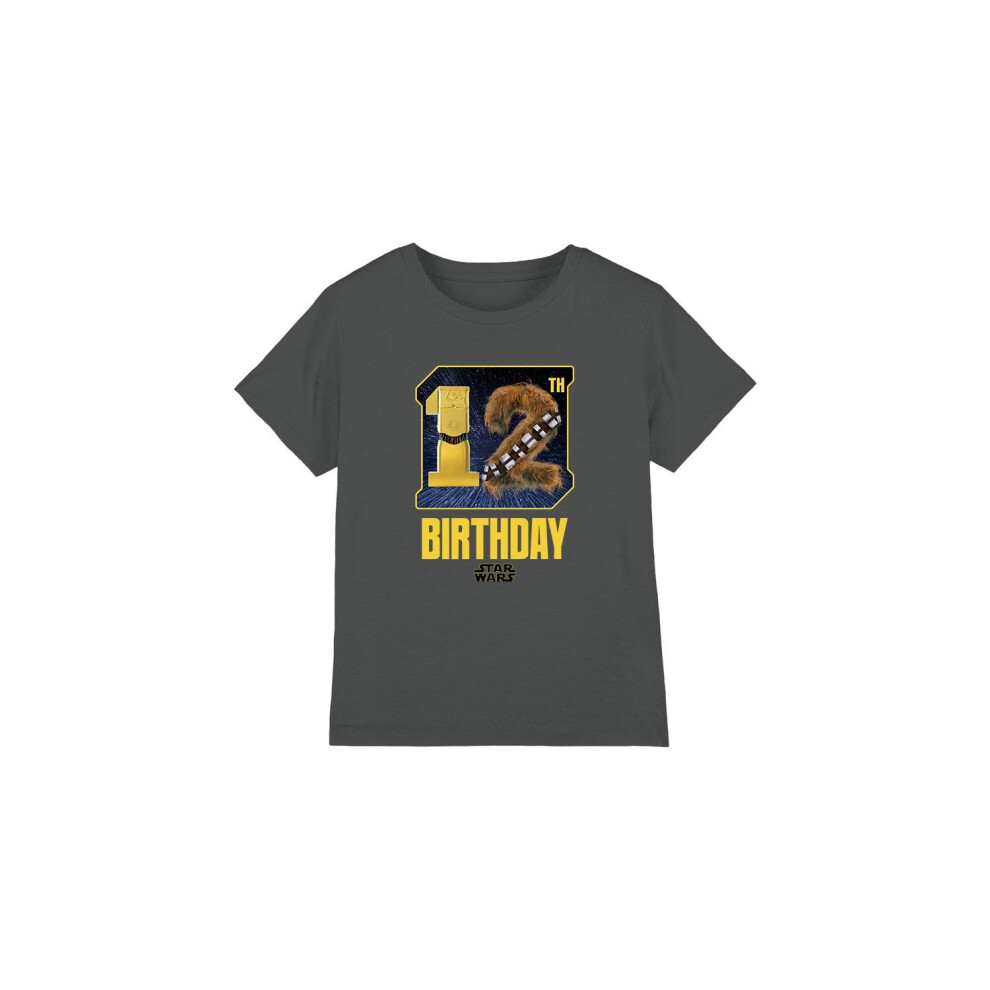 (3-4 Years, Charcoal) Star Wars Childrens/Kids C3PO Chewbacca Space 12th Birthday T-Shirt