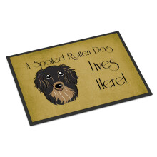 Tapis d'intérieur/extérieur Dachshund Longhair Noir et Tan 24 x 36" Multicolore