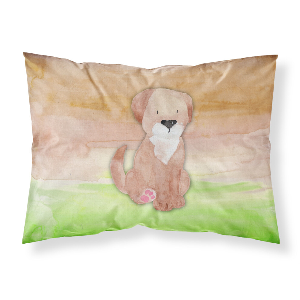Taie d'oreiller standard multicolore aquarelle verte et marron pour chien Caroline's Treasures