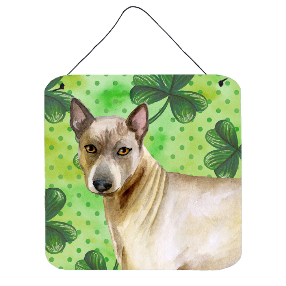 ""Caroline's Treasures Thai Ridgeback Impression Sur M Tal 6H X 6W Saint-Patrick""-image