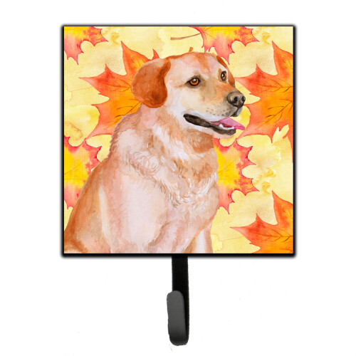 ""Caroline's Treasures Labrador Retriever Fall Wall Hook  Small  Multicolor""