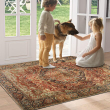 (60 x 110 cm (2 ft x 3 ft 7 in)_Large Door Mat/Bathroom Bath Mat) Traditional Large Rugs For Living Room Bedroom Mat