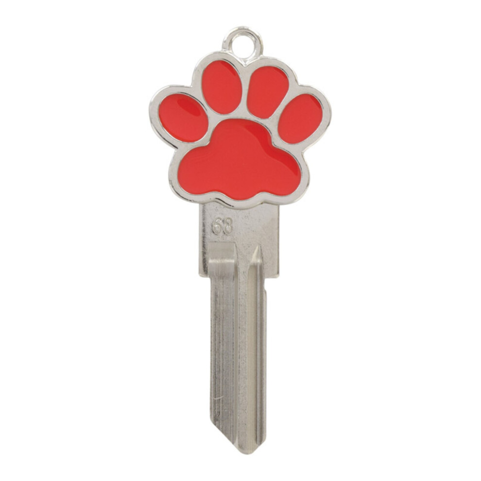 3D68SCIPAW PRINT (Pack of 4)