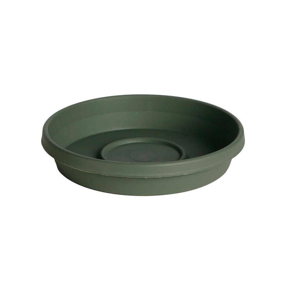 TERRATRAY LIV GREEN 6"" (Pack Of 1)