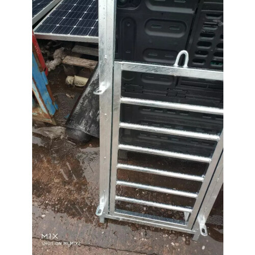 Sheep Guillotine Gate Race Handling System 2
