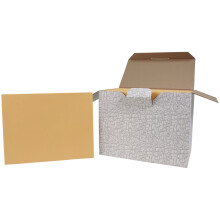 Skole Smart uden l?s katalogkonvolutter 10 x 13 tommer Kraftpakke med 250 stk.