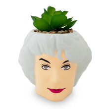 De gouden meisjes Dorothy 7-inch keramische mini-plantenbak met kunstmatige vetplant